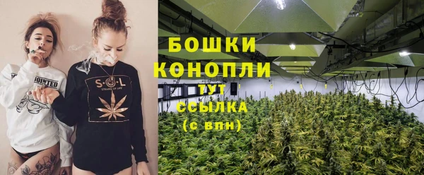 ГАЛЛЮЦИНОГЕННЫЕ ГРИБЫ Медногорск