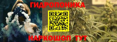 крисы Гусь-Хрустальный