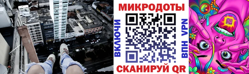 Галлюциногенные грибы Psilocybine cubensis  Новодвинск 