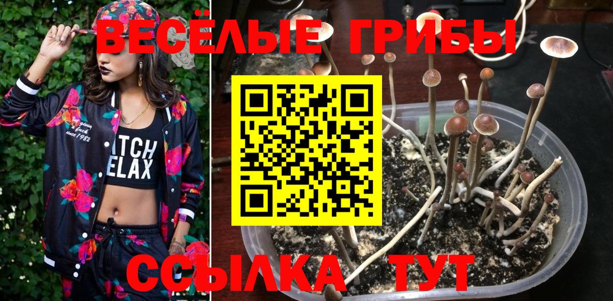 Псилоцибиновые грибы Magic Shrooms  Галлюциногенные грибы MAGIC MUSHROOMS  Вход с VPN  Новодвинск 