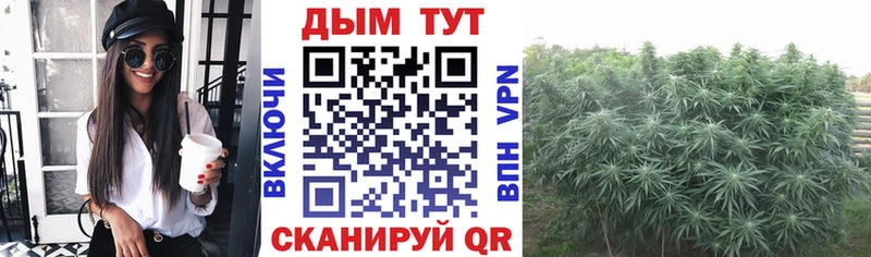 Бошки Шишки White Widow  закладки  Новодвинск 